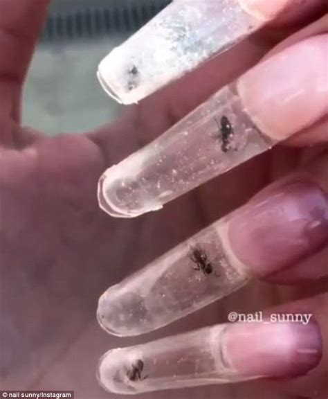 Youll Be Disgusted Nail Manicure Reveals Nails Filled With Live Ants