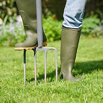Lawn care service providers will often inform you of their schedule requirements and what they recommend for your lawn. Lawn care tips | Ideas & Advice | DIY at B&Q