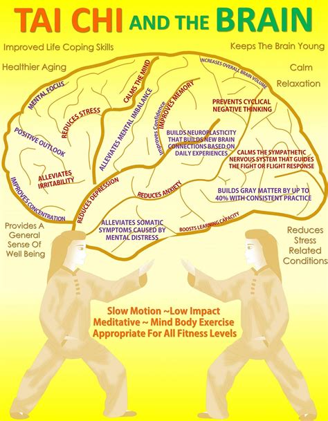 Tai Chi And The Brain Qi Gong Healthy Aging Healthy Body Kung Fu