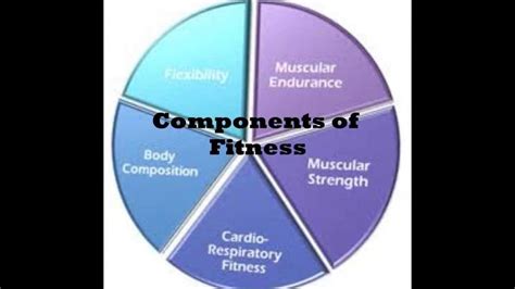 5 Components Of Fitness Review Fitness Quiz Quizizz