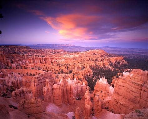 Beautiful Bryce Canyon National Park In Utah United States Torist Place