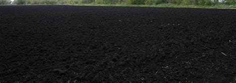 Soil Types And Suitable Crops In India Agri Farming