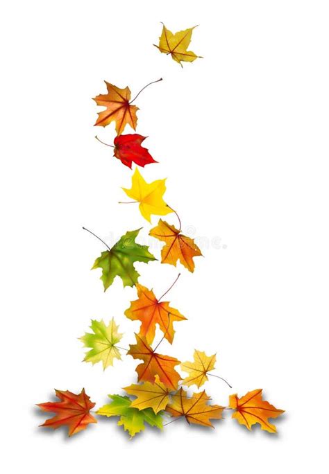 Maple Leaves Falling Stock Vector Illustration Of Season 44147634