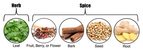 Herbs And Spices Of The World