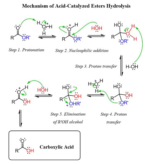 Ester Hydrolysis Acid And Base Catalyzed Mechanism Chemistry Steps