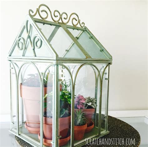 I let the greenhouse do its thing, which let me. A Terrarium with Terra Cotta Pots | scratchandstitch.com
