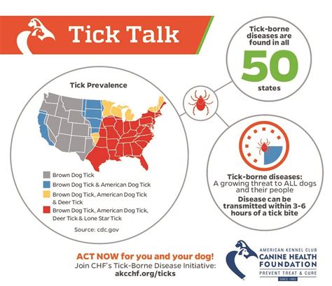 Tick Borne Diseases Infographic