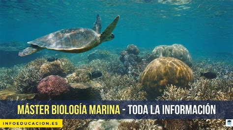 Máster en biología marina en España salidas y dónde estudiar
