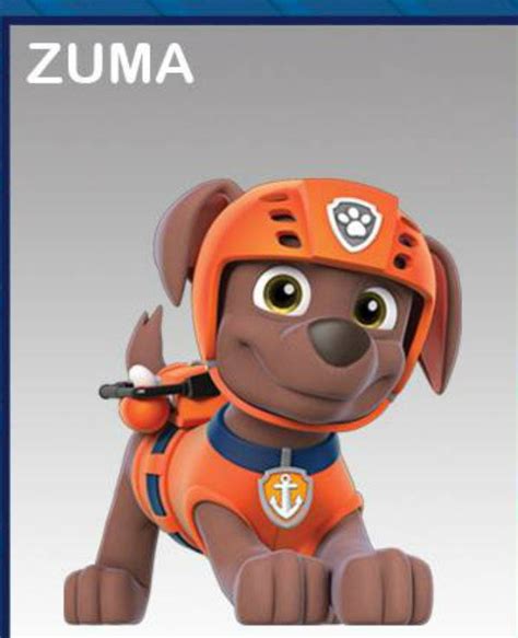 Paw Patrol Campus Life Meet Zuma Wattpad