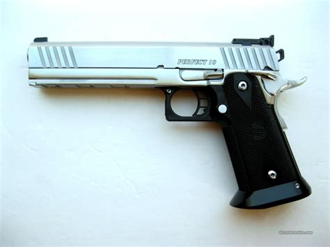 The Sti Perfect 10mm Pistol Survival Essentials Hand Guns Pistol