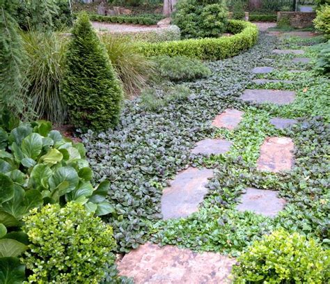 Top Ten Ground Covers Ground Cover Plants Garden Landscaping