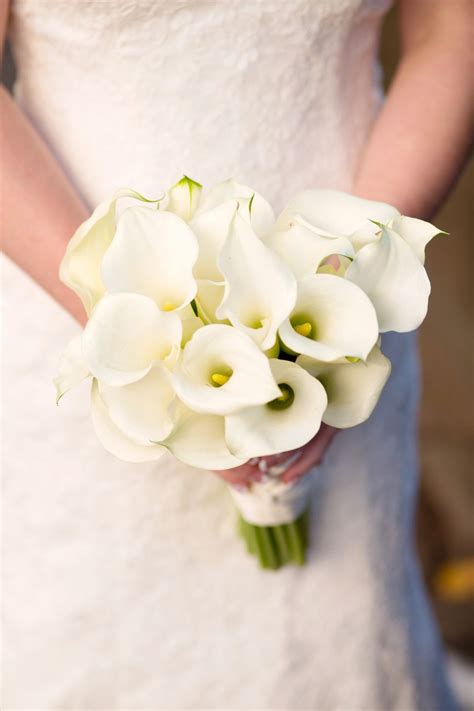 White Calla Lily Bridal Bouquet Held By Calla Lily Bouquet