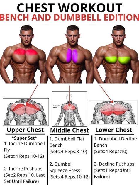 How To Do Chest Exercises Chest Programs Benefits Tips