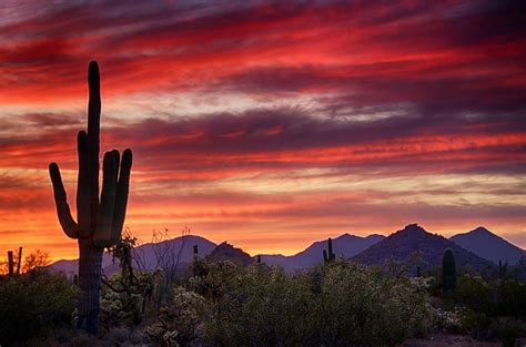 Sonoran Desert Sunset Red Hot Sonoran Sunset Photograph Red Hot