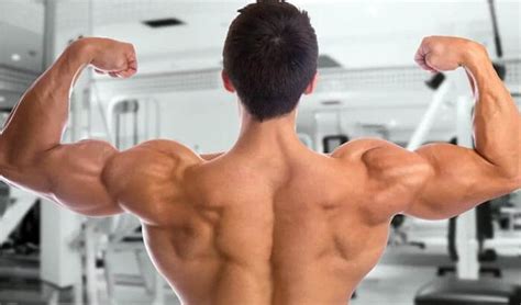 Healthy And Strong Back Learn 5 Effective Exercises To Strengthen Them