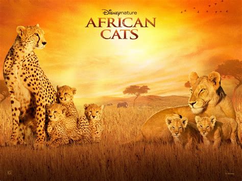Check out our african big cats selection for the very best in unique or custom, handmade pieces from our shops. Disneynature Film African Cats The Official Trailer