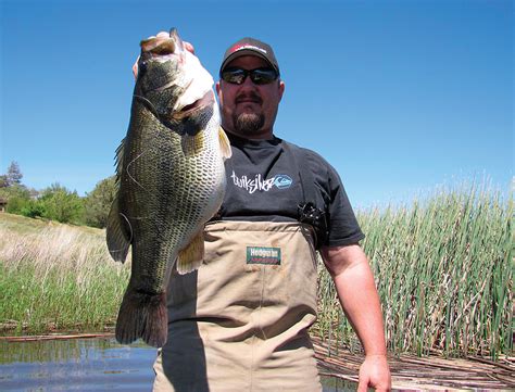 Catfish, bluegill, and bullhead are other species commonly found in the lake. Top Places for Bass Fishing in Southern California - Game ...