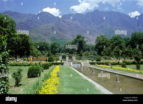 Nishat Bagh Mughal Garden Srinagar Jammu And Kashmir India Asia