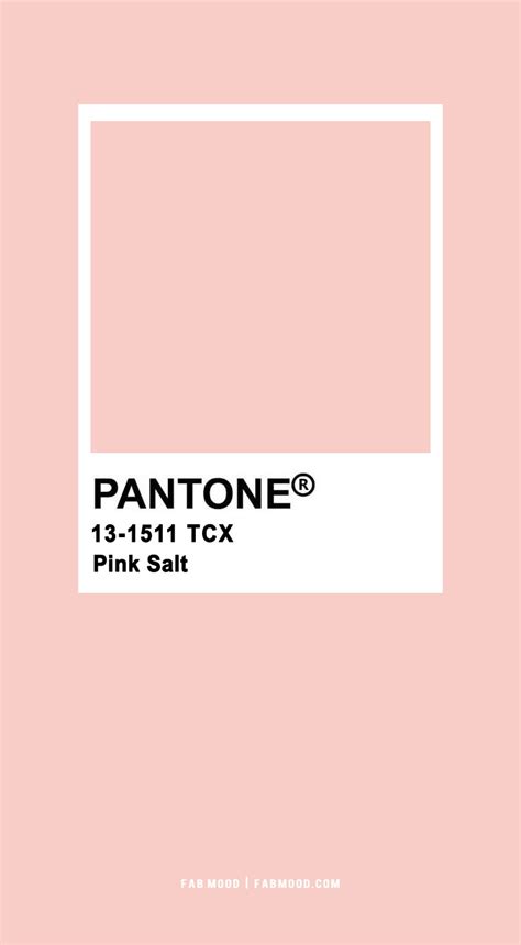 Blush Pink Pantone