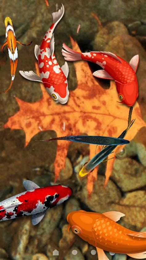 Koi Fish Wallpaper 3d Water Fish Screensaver 3d Apk For Android Download