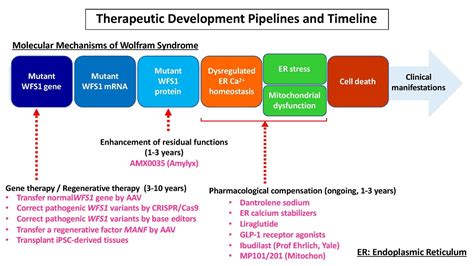 Therapeutic Development Pipelines And Timeline Wolfram Syndrome