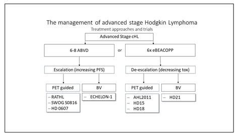 Jcm Free Full Text Hodgkin Lymphoma—review On Pathogenesis