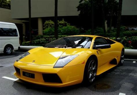 Sg Exotic Spotter Lamborghini Murcielago Yellow
