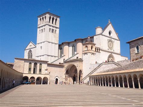 basilica di san francesco d assisi arte opere artisti