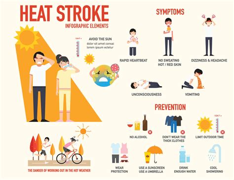 Heat Stroke Symptoms And Prevention Infographic Risk Cartoon Vector
