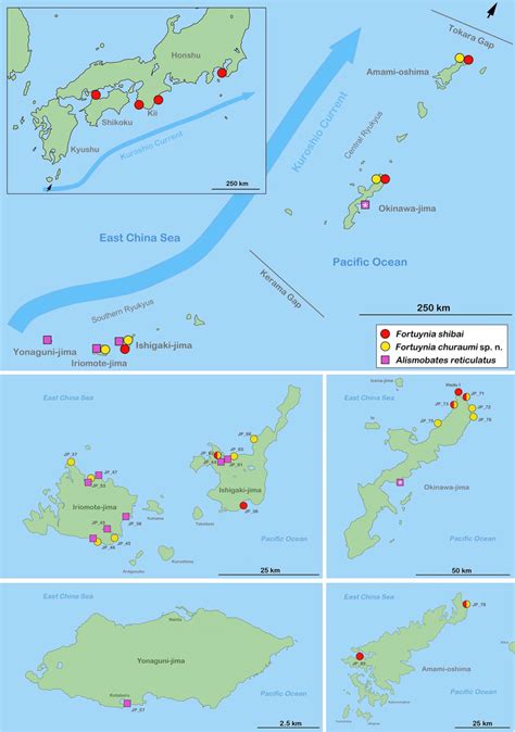 Map Showing Distribution Of Fortuyniid Species On The Japanese Ryukyus