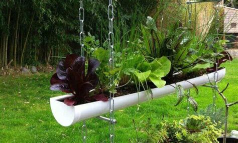 Pvc Pipe Planter Ideas For 2023 Evergreenmedtech
