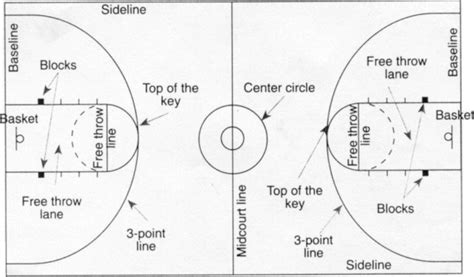 Basketball Court Diagram Printable Portal Tutorials