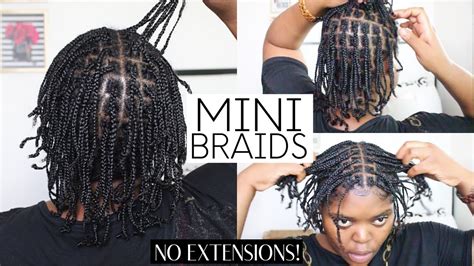 Mini Braids Protective Style On Natural Hair No Extensions Youtube