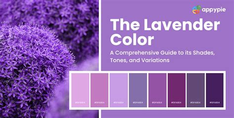 The Lavender Color A Comprehensive Guide To Its Shades Tones And