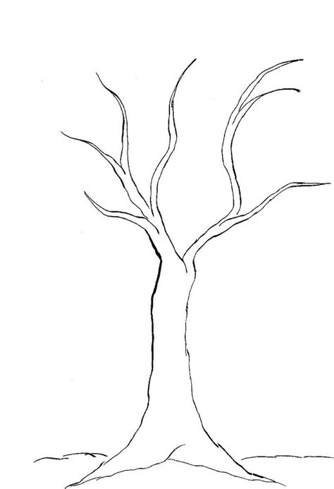 Bare Tree Coloring Sheet Barry Morrises Coloring Pages