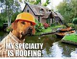 Pictures of Funny Roofing Pictures