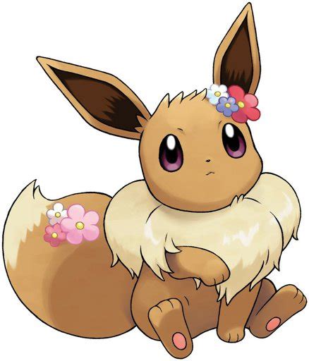 Rainbow The Eevee Wiki Pokémon Amino