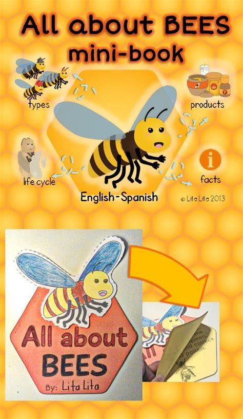 All About Bees Mini Book Bee Themed Classroom Bee Activities Bee