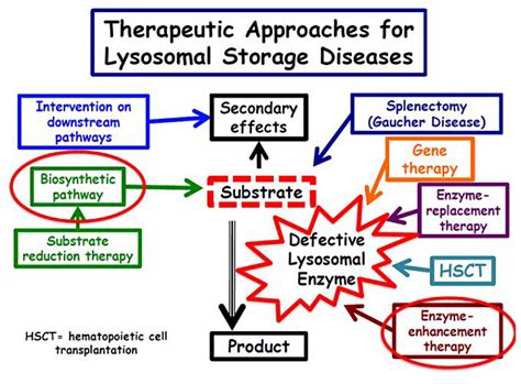 Lysosomal Storage Disease Uf Health