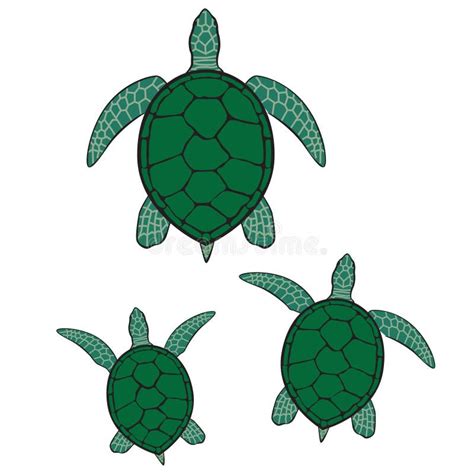 Green Sea Turtle Illustration Stock Vector Illustration Of Head