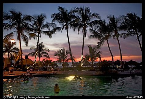 Picturephoto Palm Tree Fringed Swimming Pool At Sunset Nuevo