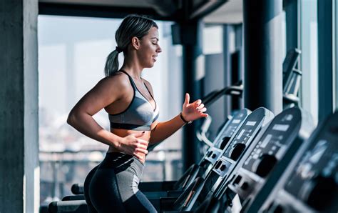 Sweat And Success Top Best Gyms In Auckland For Your Workout