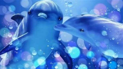 Download Colorful Dolphins Wallpaper Dolphin Desktop By Jackjones