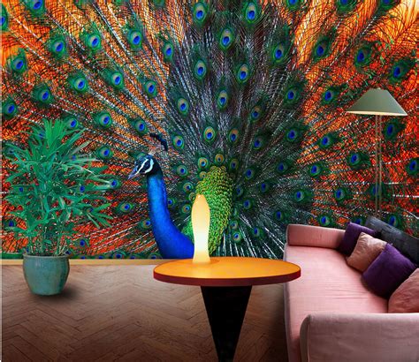 Peacock Feather Wallpaper For Walls Peacock Wallpaper From Patton Lelands Wallpaper