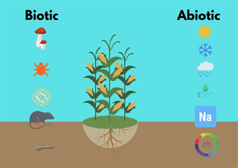 Abiotic And Biotic Plant Stresses And Biostimulant And Micronutrient