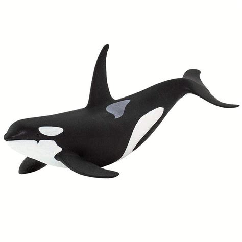 Orca Toy Sea Life Safari Ltd