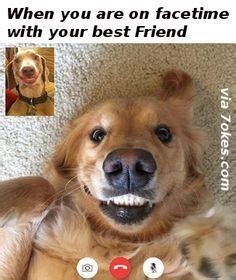 Please post a joke with a title and a punchline. When You Are On Facetime With Your Best Friend- 7JOKES ...
