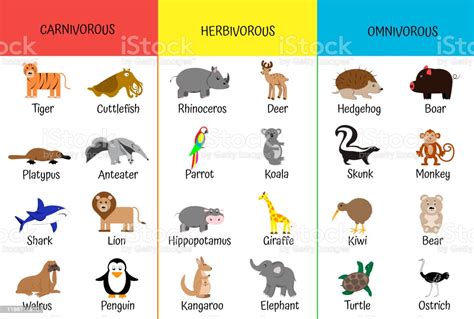 carnivores herbivores omnivores animals  category