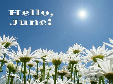 Hello June Month Quotes Hello June Months Quotes Good Morning
