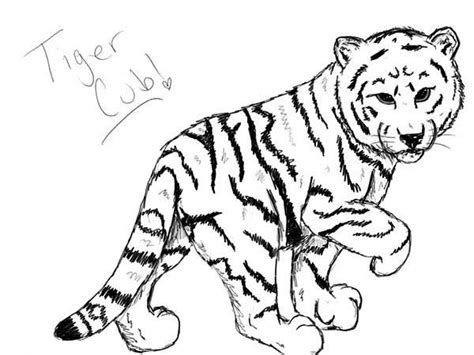 White Tiger Coloring Page
